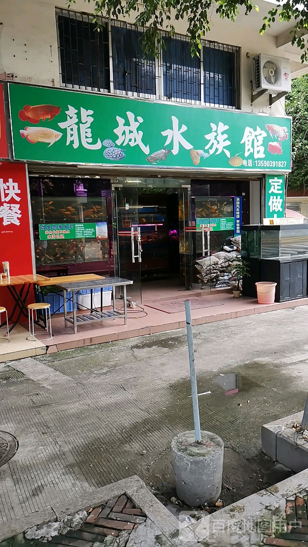 龙城水族馆(福安楼店)