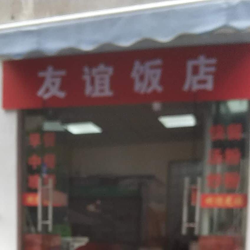 友谊大饭店(茶山花苑店)