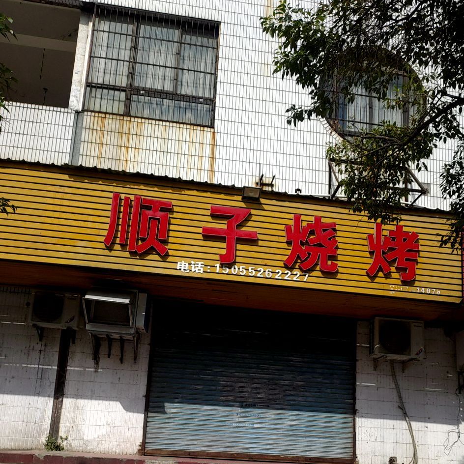 顺字烧烤(解放一路店)