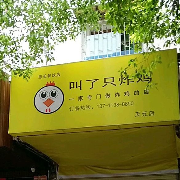 叫了只炸鸡(天元店)