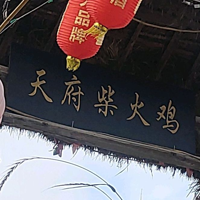 天府柴火鸡