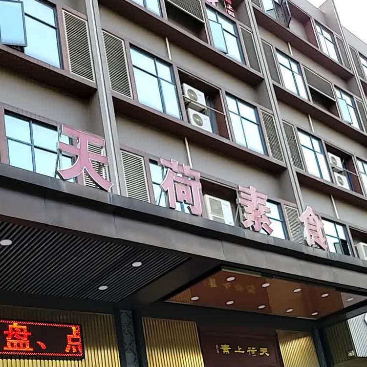 天荷上素(陈村店)