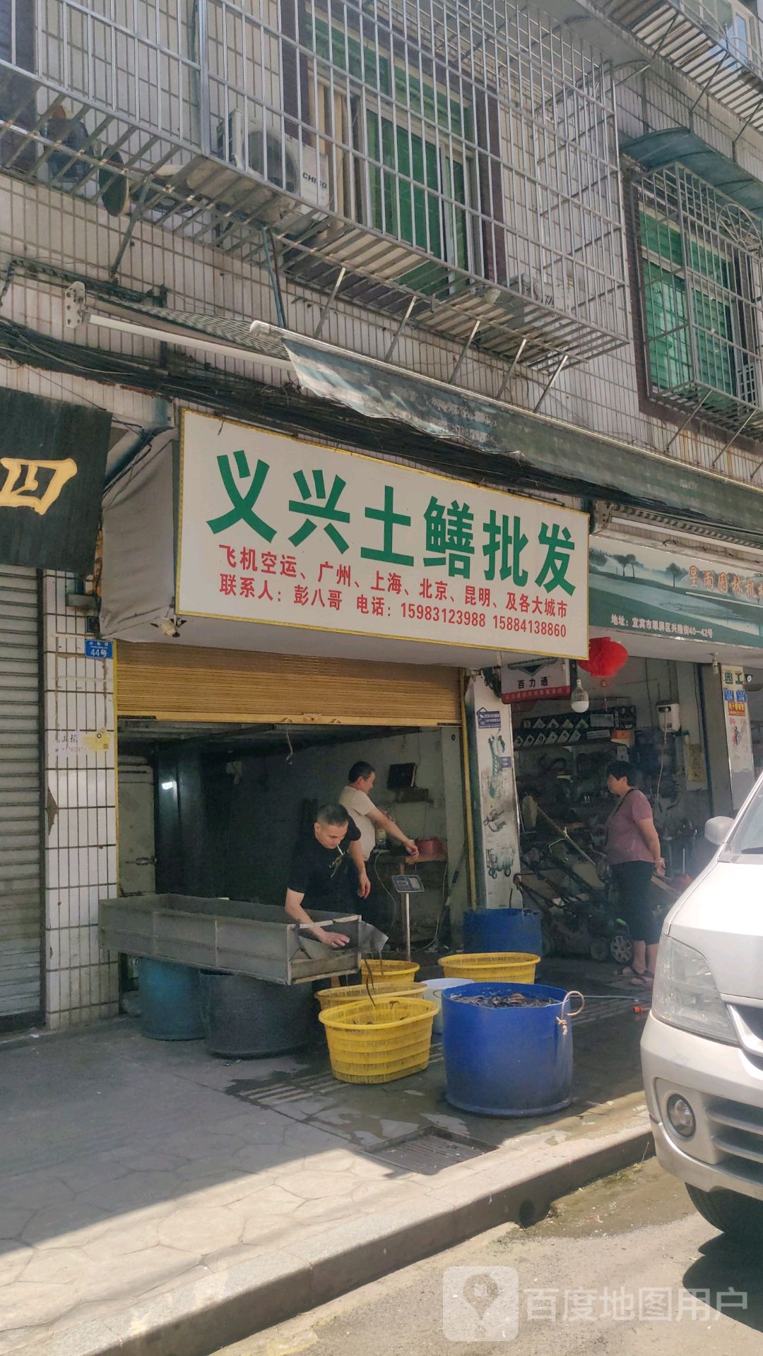 义兴土鳝批发