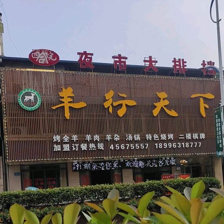 羊行天下