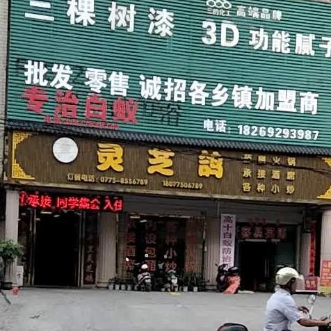 灵芝鸽养生餐馆