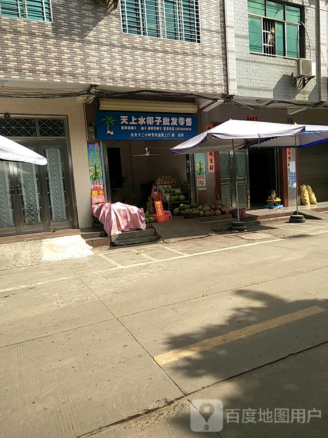 天上水椰子批发零售