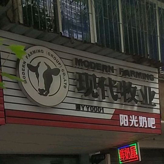 现代牧业阳光奶吧