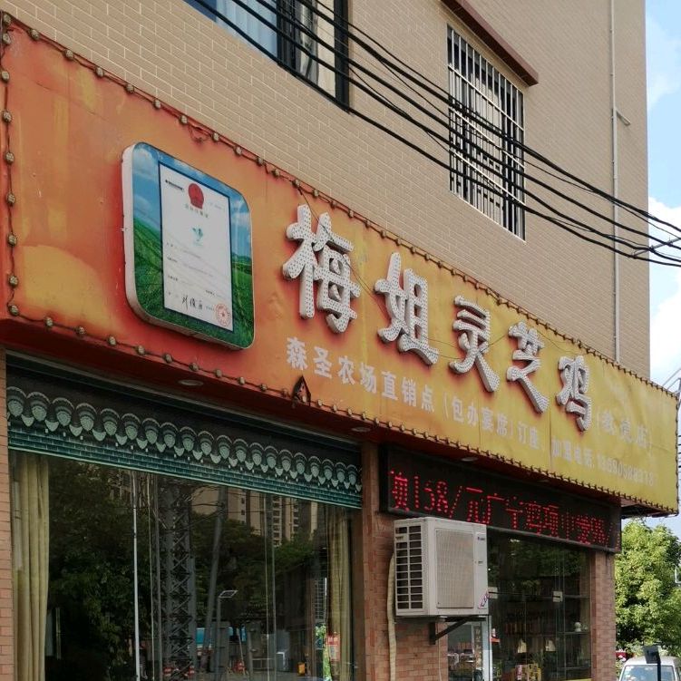 梅姐灵芝鸡(教德店)