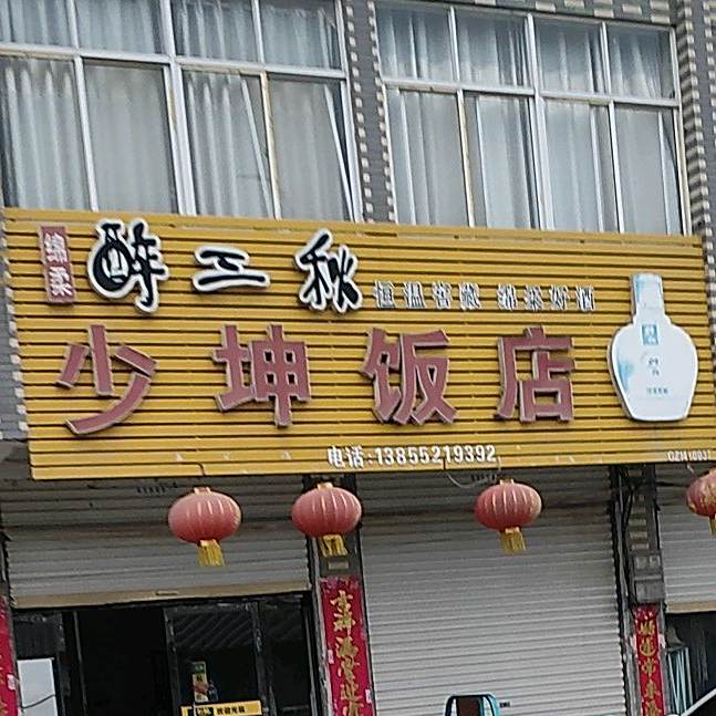 少坤返点