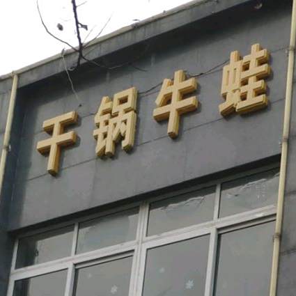 坩埚牛蛙
