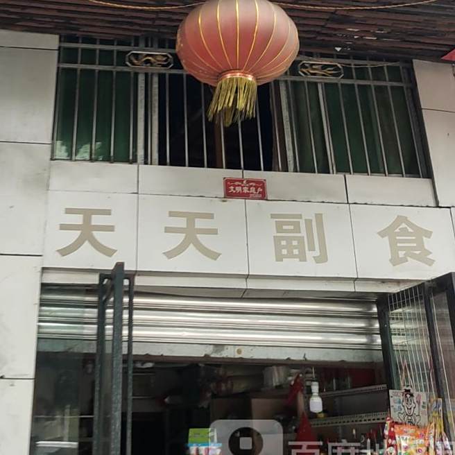 天天副食