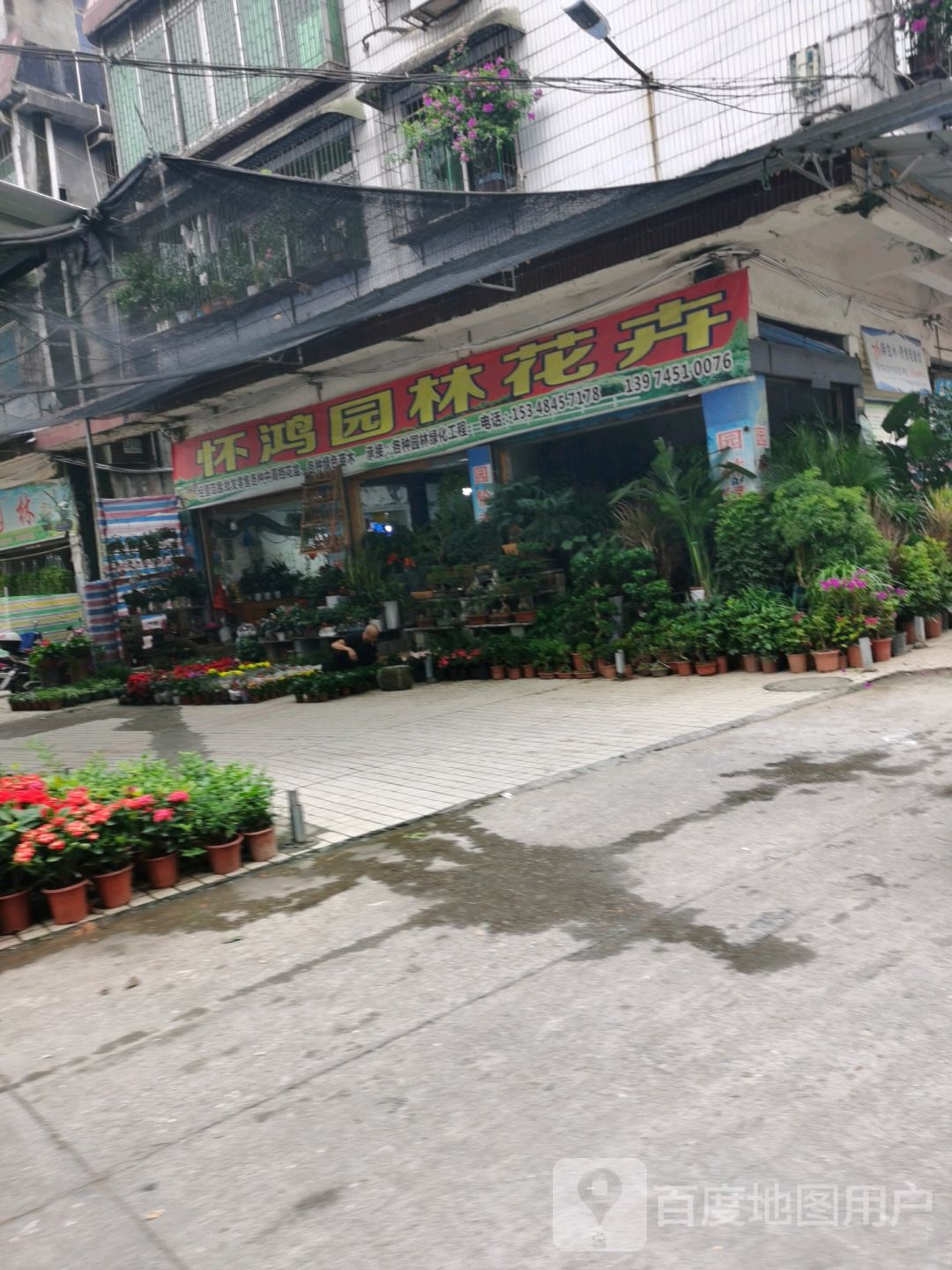 怀鸿园林花卉