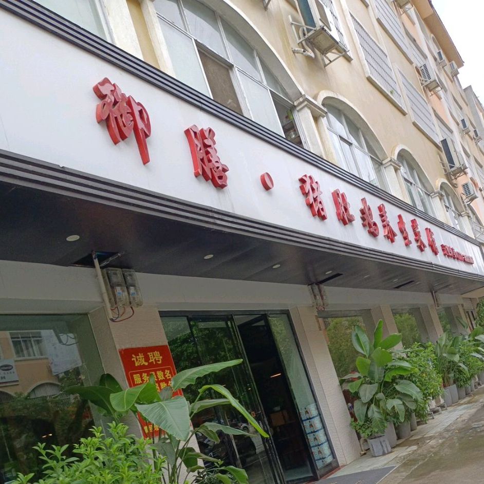 御膳猪肚鸡养生菜馆