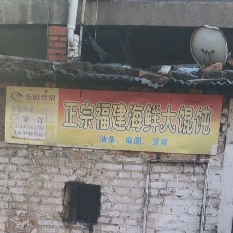 正宗福建海鲜大馄饨(进明路店)