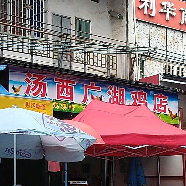 汤西广湖活鱼档