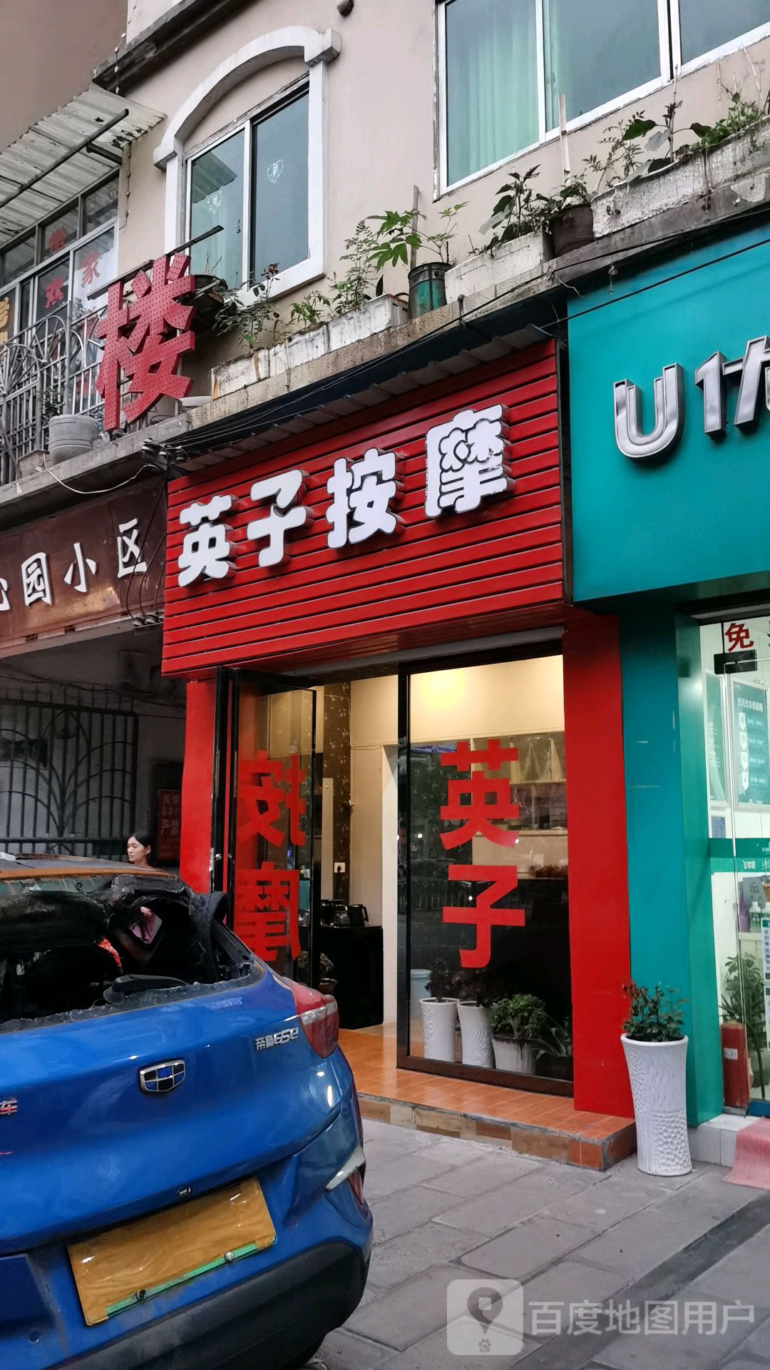 英子松按