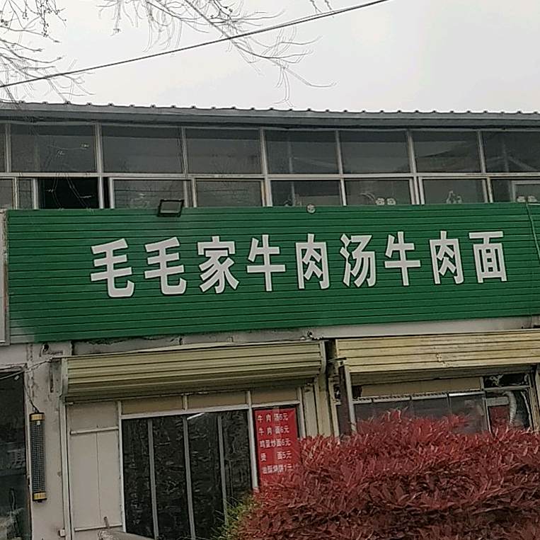 毛毛家牛肉汤牛肉拉