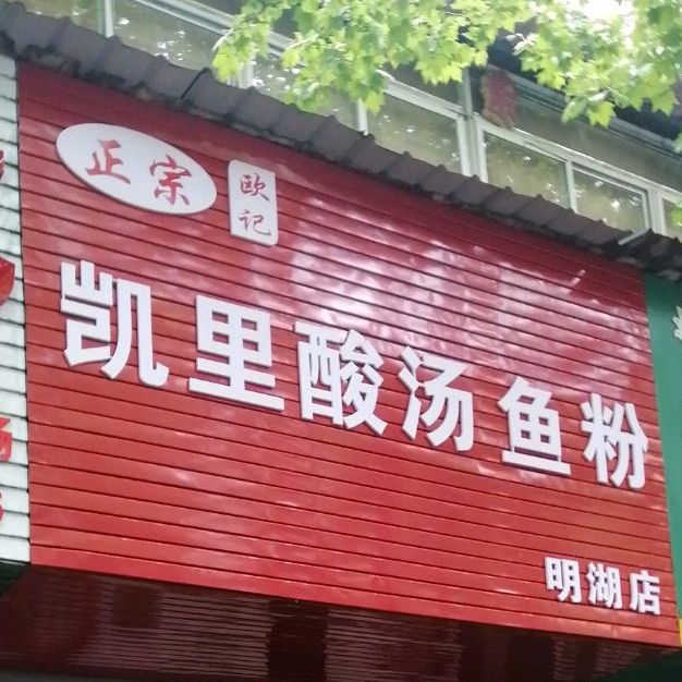 正宗欧记凯里酸汤鱼粉(明湖店)