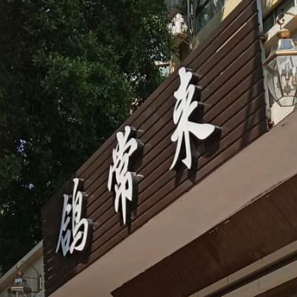 鸽常来·食鸽研究院