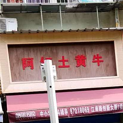 阿红土黄牛