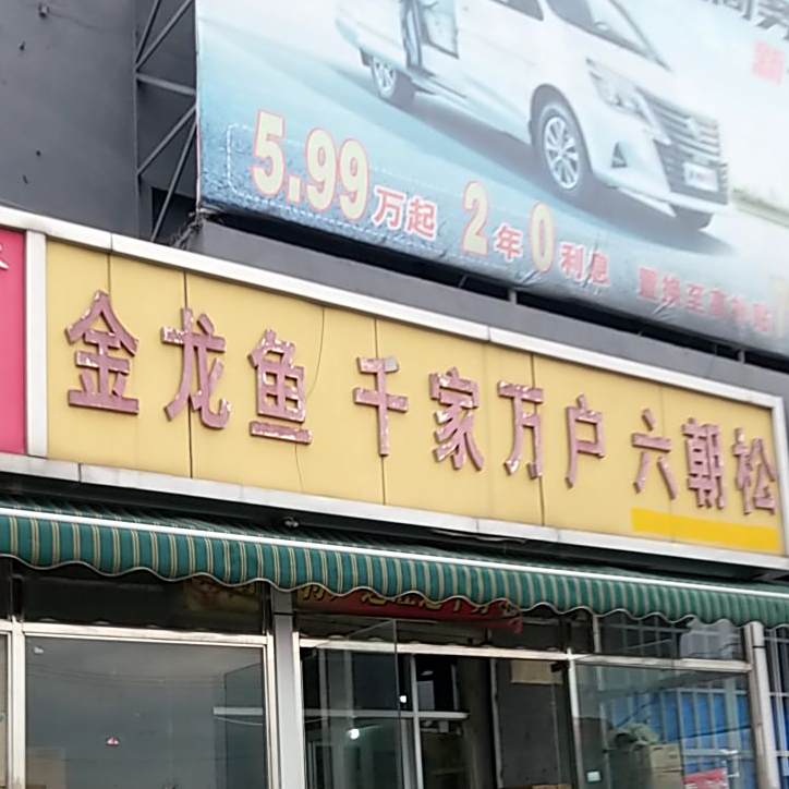 金龙鱼千家万福六朝松
