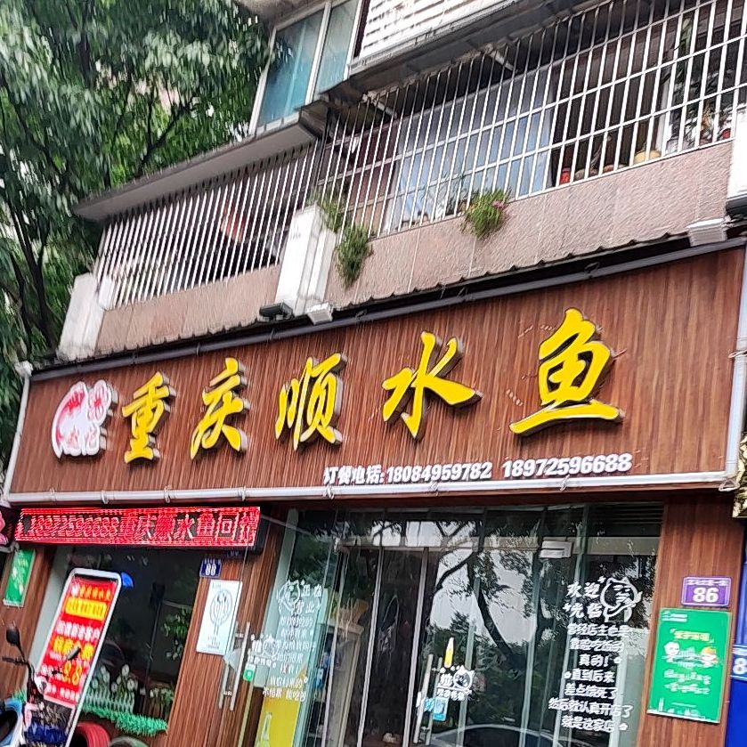 重庆市水鱼