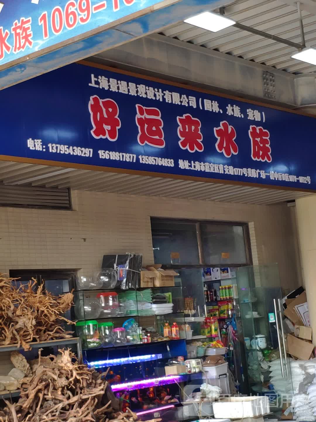 好运来水族