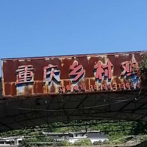 重庆乡村大鸡