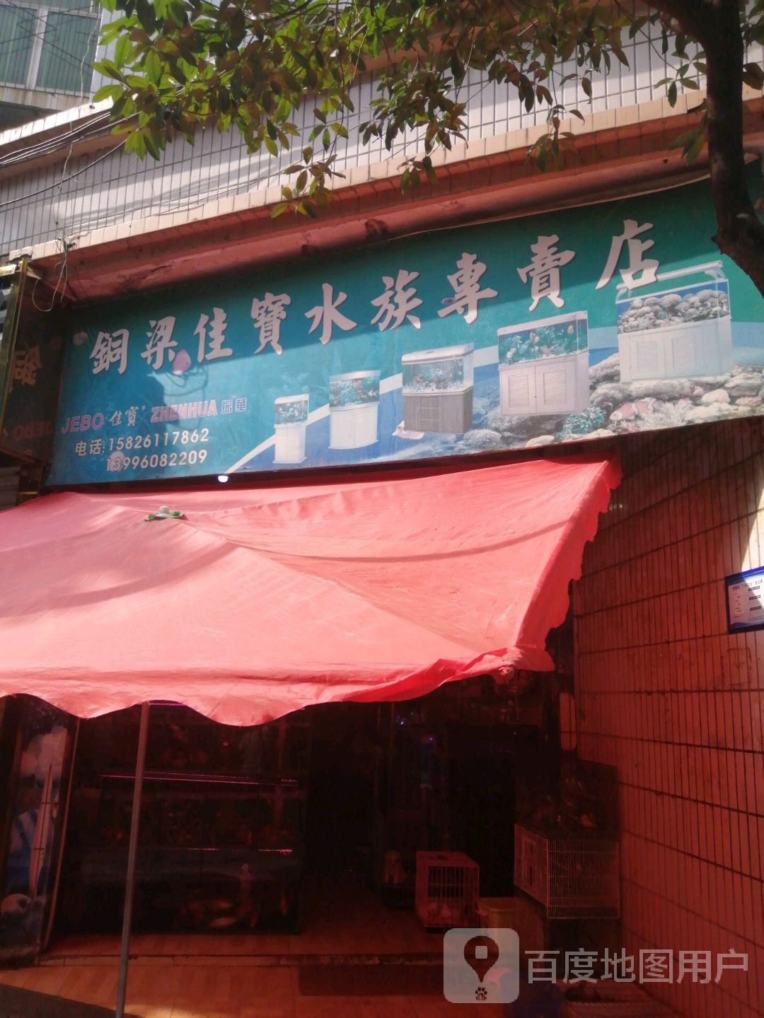 铜梁佳宝水族专卖店