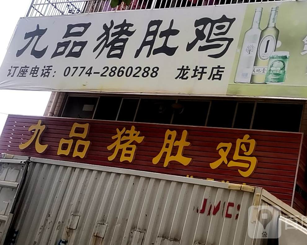 九品猪肚鸡(龙圩店)