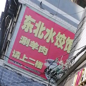 东北水饺馆(东风路店)