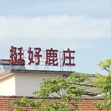 挺好鹿庄