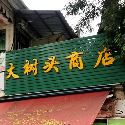 大树头奶茶