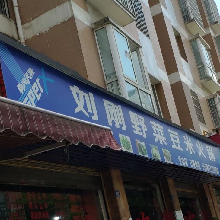 刘刚野菜豆米活过