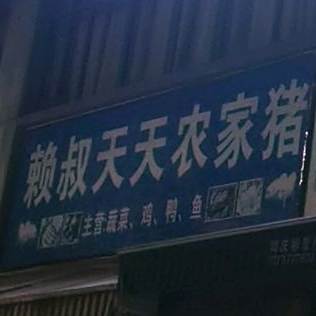 赖叔天天农家猪