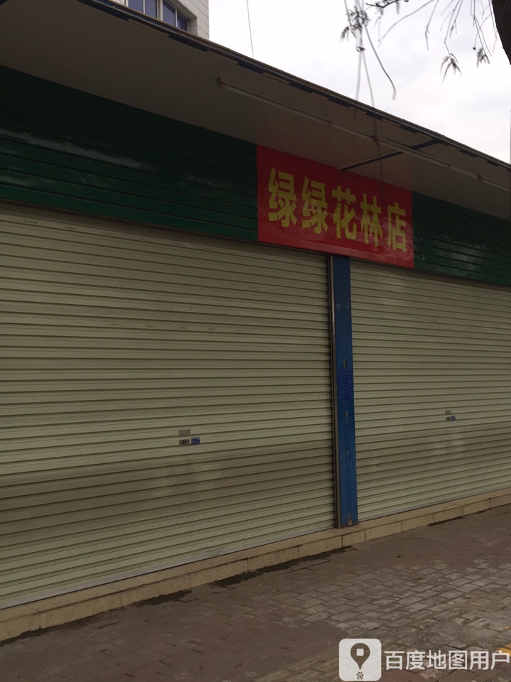 绿绿花林店