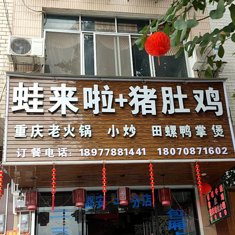 蛙来啦+猪肚鸡(澄西路店)