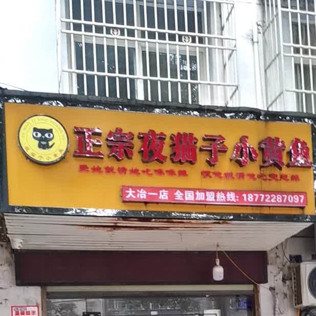 夜喵子小黄鱼