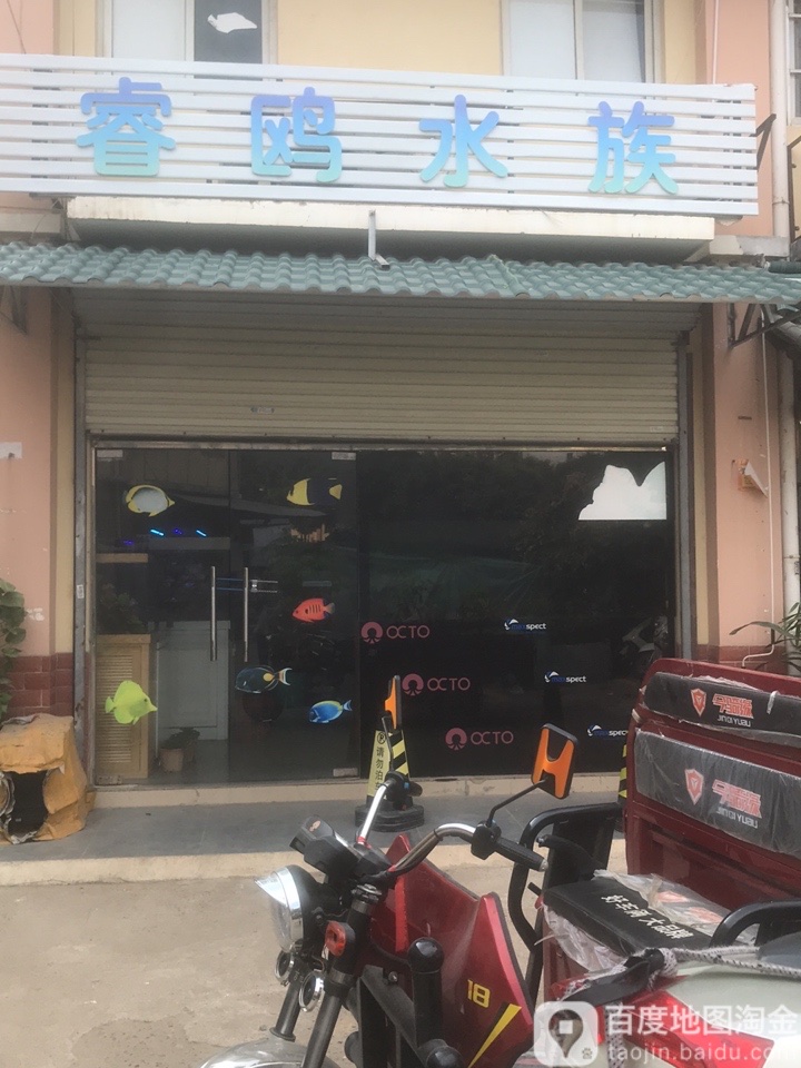 睿鸥水族(广西花鸟交易市场店)