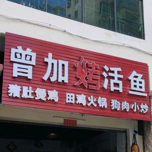 曾加烤活鱼(振兴北路店)