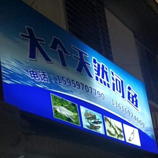 大个天然河鲤鱼-水产品