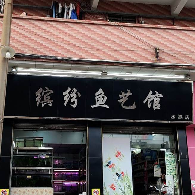 缤纷鱼艺园(水族店)