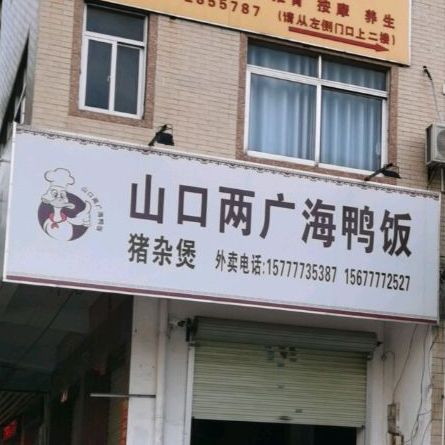 山口两广海鸭饭