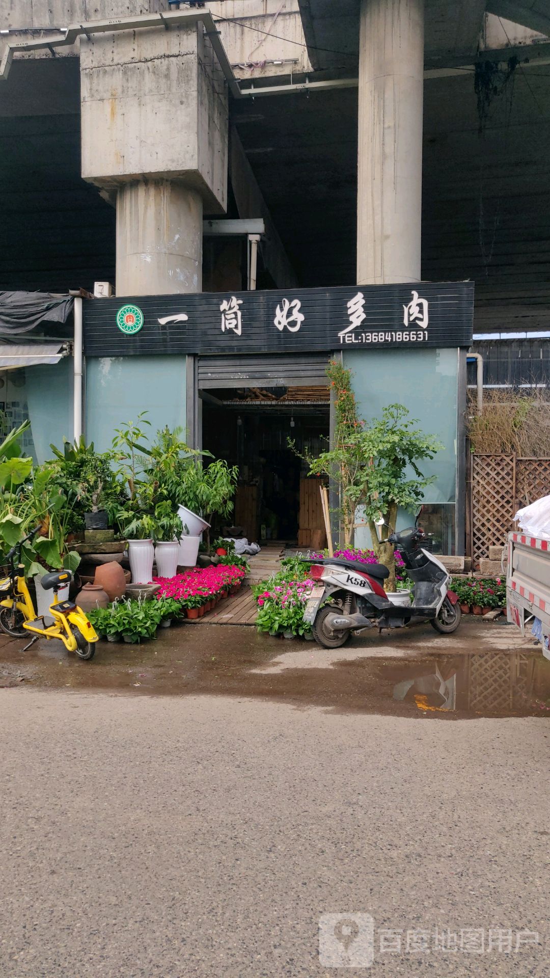 一筒好多肉