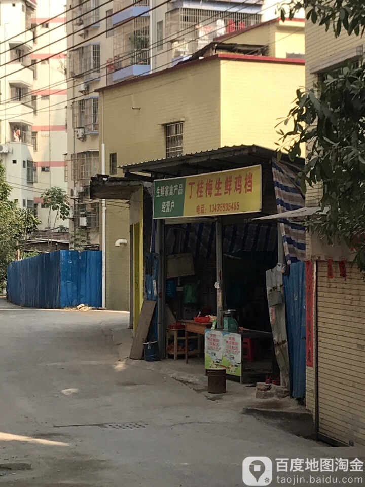 丁桂梅生鲜鸡档