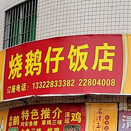 烧鹅仔饭店(漕渔新村东五街42号店)