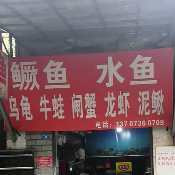 老汪鳜鱼水鱼店