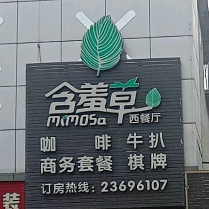 含羞草西餐厅