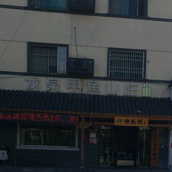 龙泉甲鱼山庄