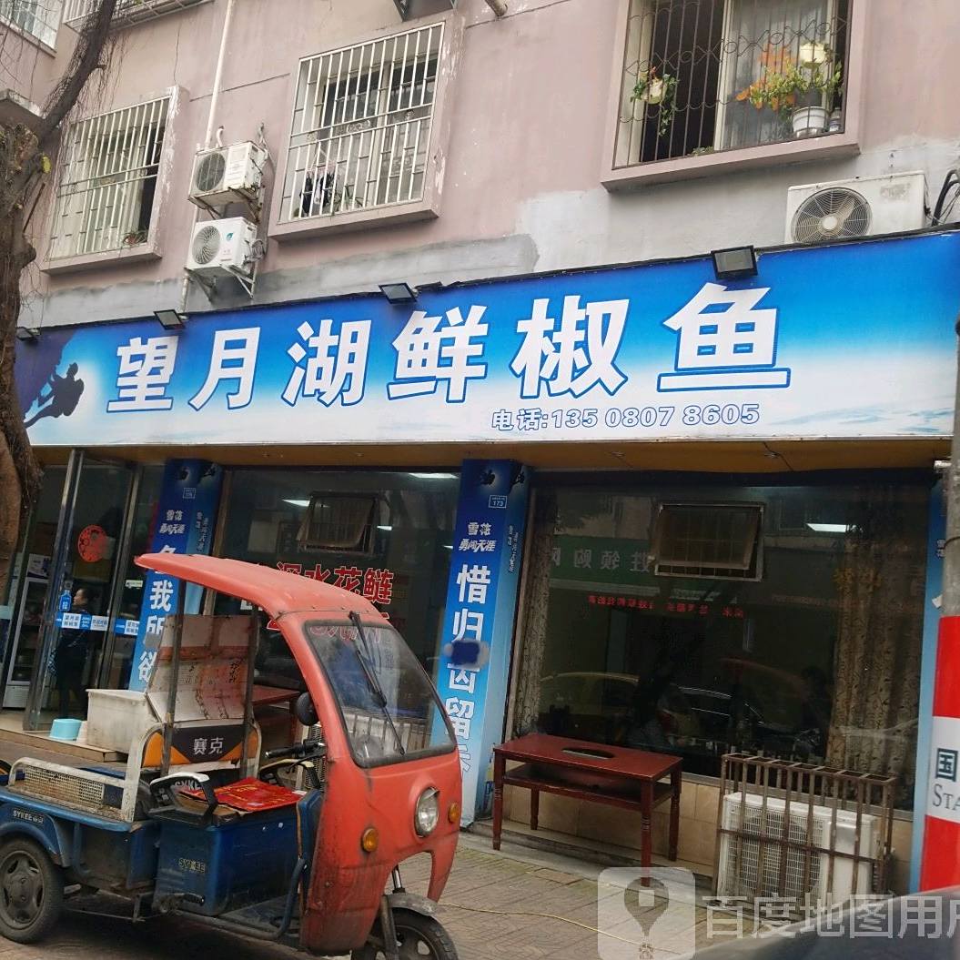 望月湖鲜椒鱼(金鑫东街店)